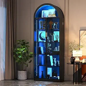Display Cabinet With Adjustable Shelves And LED Lighting