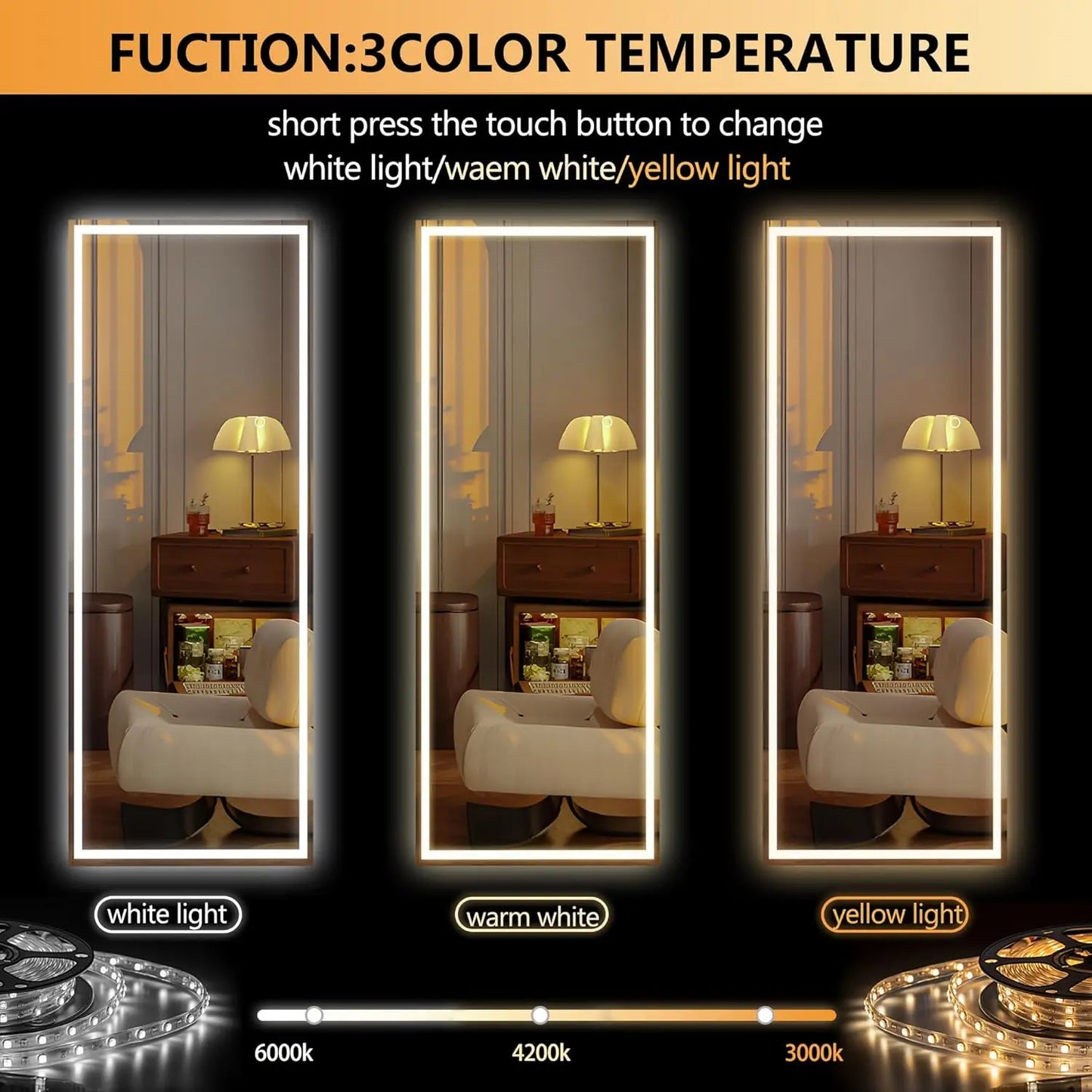 Rizzon LED Full Length Floor Mirror Standing Or Hanging