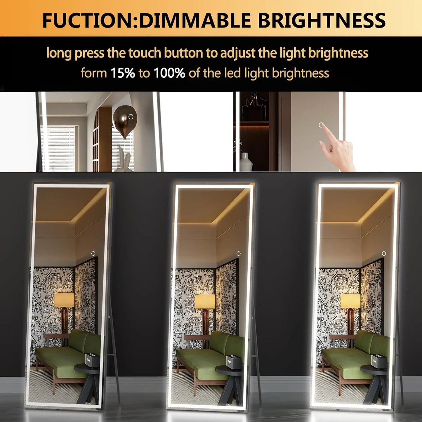 Rizzon LED Full Length Floor Mirror Standing Or Hanging
